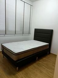 Park Colonial (D13), Condominium #540886451